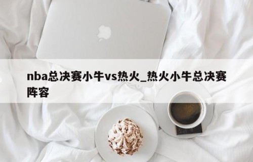 nba总决赛小牛vs热火_热火小牛总决赛阵容