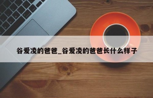 谷爱凌的爸爸_谷爱凌的爸爸长什么样子
