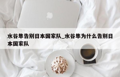 水谷隼告别日本国家队_水谷隼为什么告别日本国家队