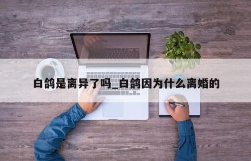 白鸽是离异了吗_白鸽因为什么离婚的