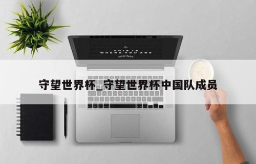 守望世界杯_守望世界杯中国队成员