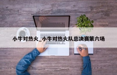 小牛对热火_小牛对热火队总决赛第六场
