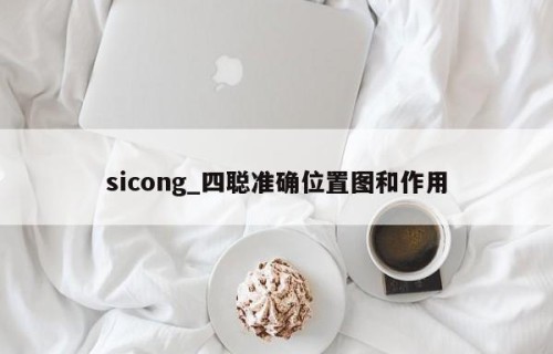 sicong_四聪准确位置图和作用