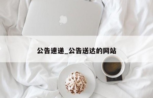 公告速递_公告送达的网站