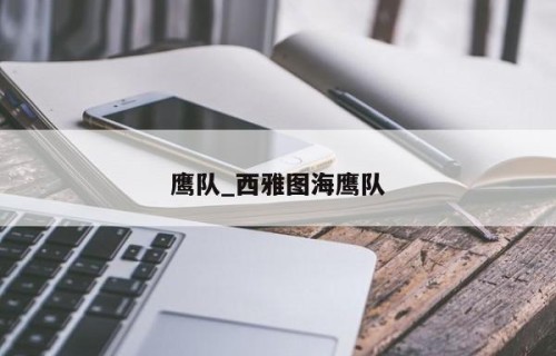 鹰队_西雅图海鹰队
