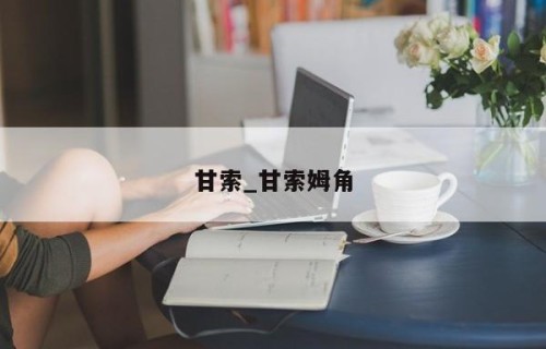甘索_甘索姆角