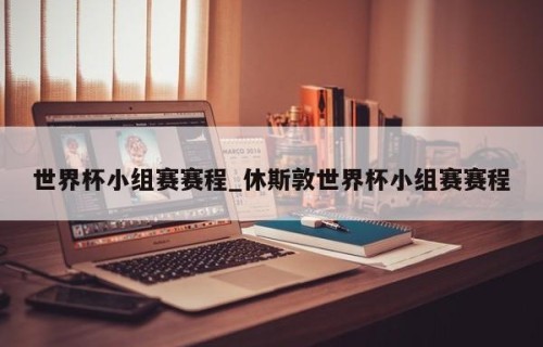 世界杯小组赛赛程_休斯敦世界杯小组赛赛程