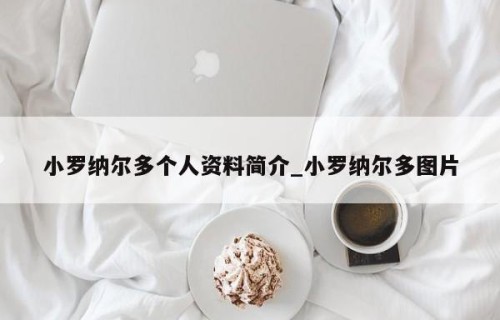 小罗纳尔多个人资料简介_小罗纳尔多图片
