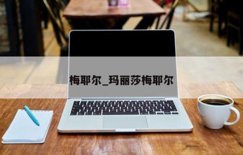 梅耶尔_玛丽莎梅耶尔