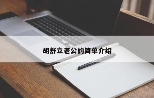 胡舒立老公的简单介绍