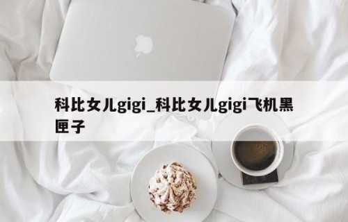 科比女儿gigi_科比女儿gigi飞机黑匣子