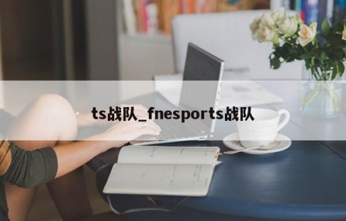 ts战队_fnesports战队