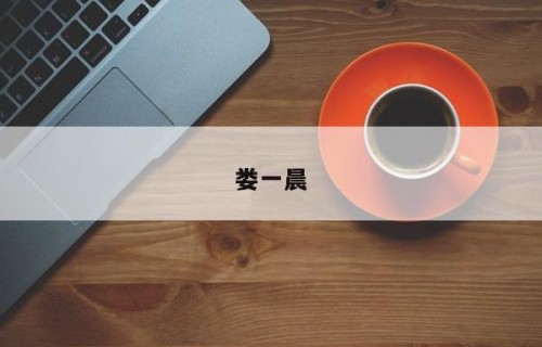 娄一晨