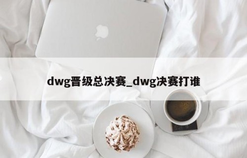 dwg晋级总决赛_dwg决赛打谁