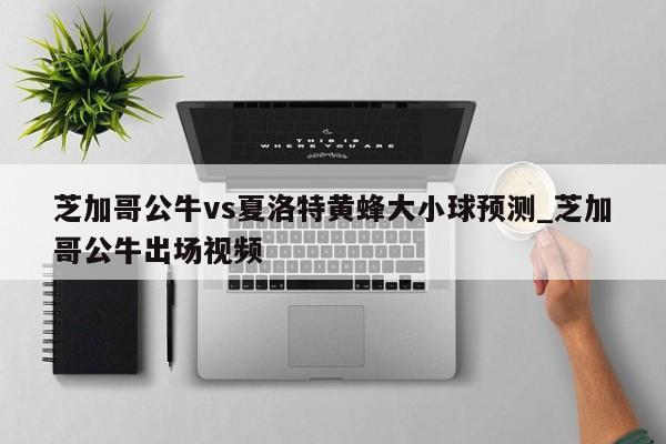 芝加哥公牛vs夏洛特黄蜂大小球预测_芝加哥公牛出场视频