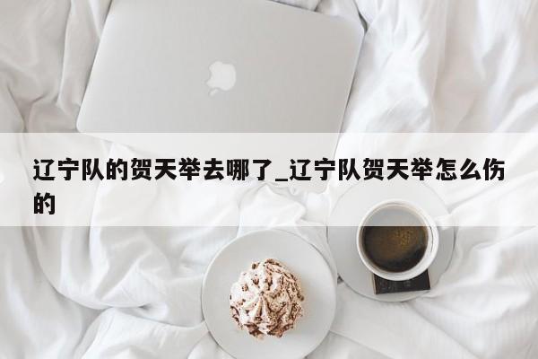 辽宁队的贺天举去哪了_辽宁队贺天举怎么伤的