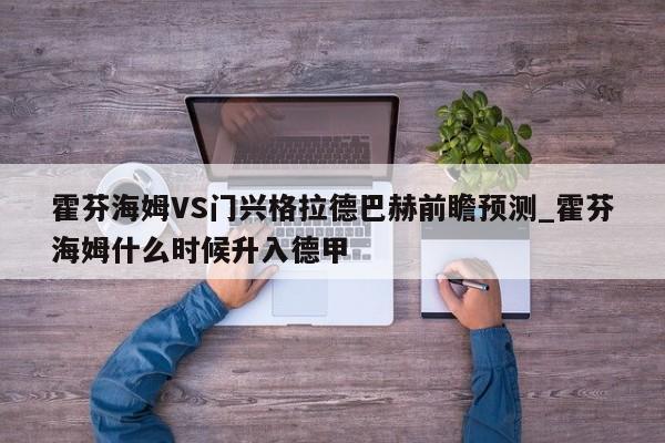 霍芬海姆VS门兴格拉德巴赫前瞻预测_霍芬海姆什么时候升入德甲