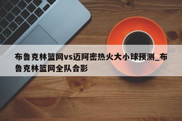布鲁克林篮网vs迈阿密热火大小球预测_布鲁克林篮网全队合影
