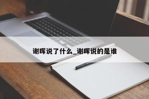 谢晖说了什么_谢晖说的是谁