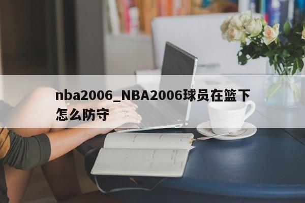 nba2006_NBA2006球员在篮下怎么防守