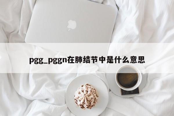 pgg_pggn在肺结节中是什么意思
