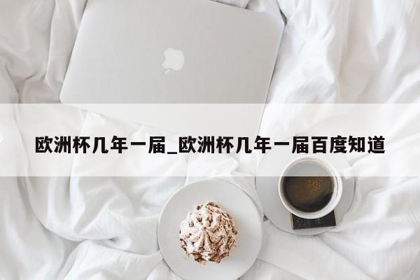 欧洲杯几年一届_欧洲杯几年一届百度知道