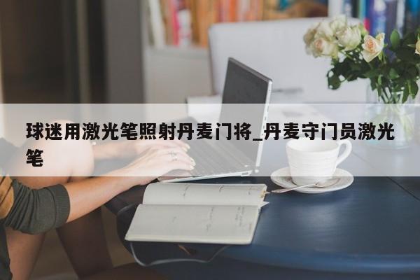 球迷用激光笔照射丹麦门将_丹麦守门员激光笔