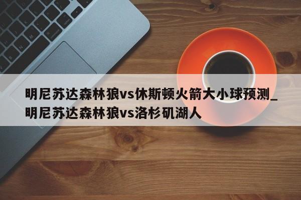 明尼苏达森林狼vs休斯顿火箭大小球预测_明尼苏达森林狼vs洛杉矶湖人