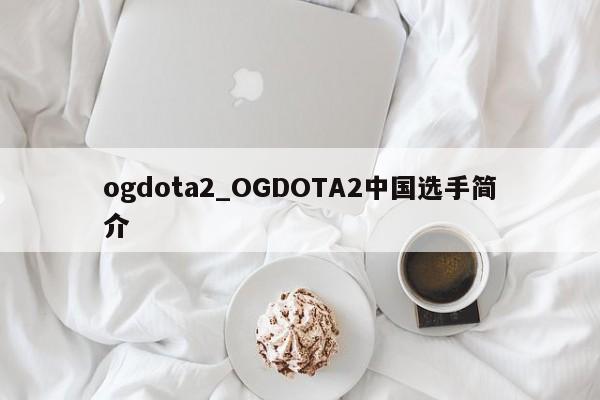 ogdota2_OGDOTA2中国选手简介
