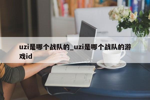 uzi是哪个战队的_uzi是哪个战队的游戏id