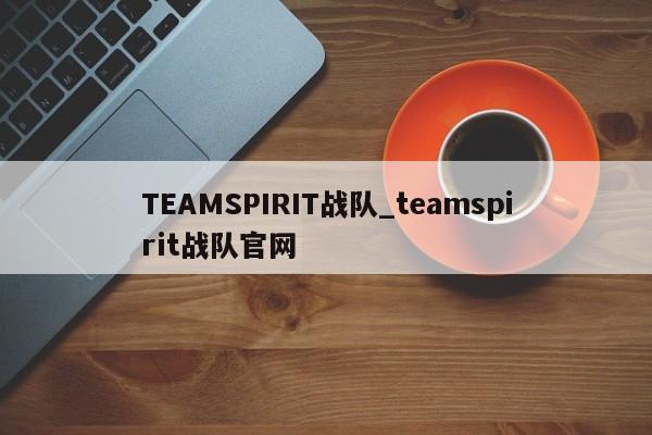 TEAMSPIRIT战队_teamspirit战队官网