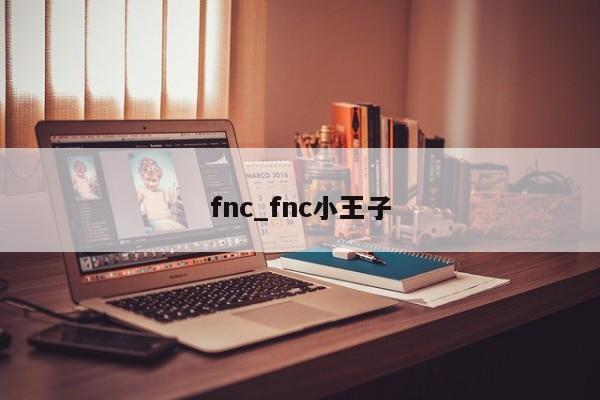 fnc_fnc小王子