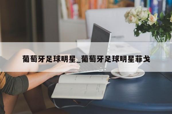 葡萄牙足球明星_葡萄牙足球明星菲戈