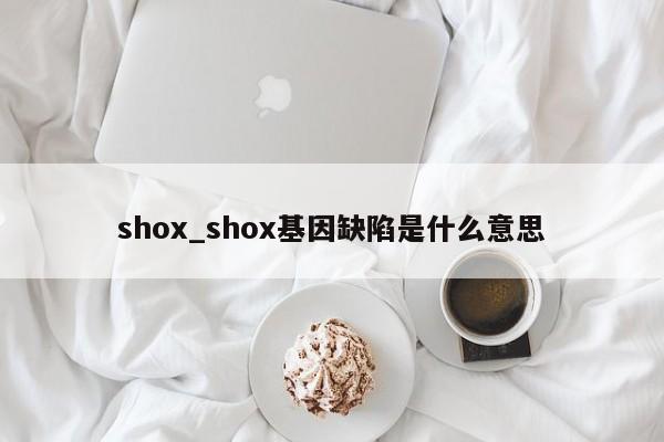 shox_shox基因缺陷是什么意思