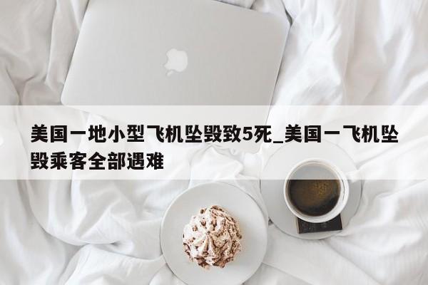 美国一地小型飞机坠毁致5死_美国一飞机坠毁乘客全部遇难