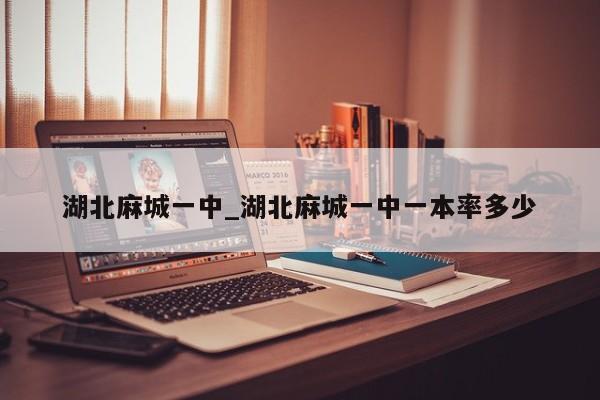 湖北麻城一中_湖北麻城一中一本率多少