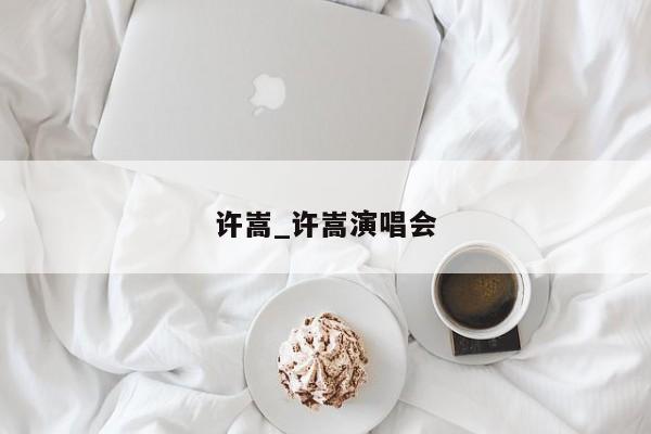 许嵩_许嵩演唱会