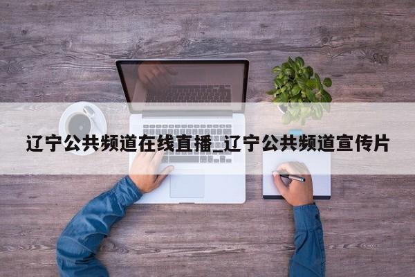 辽宁公共频道在线直播_辽宁公共频道宣传片