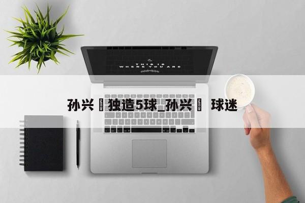 孙兴慜独造5球_孙兴慜 球迷