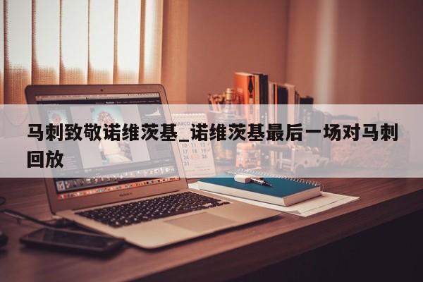 马刺致敬诺维茨基_诺维茨基最后一场对马刺回放
