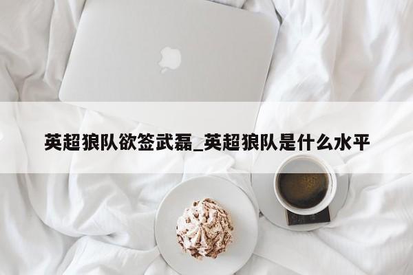 英超狼队欲签武磊_英超狼队是什么水平