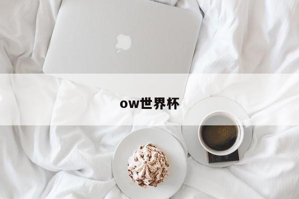 ow世界杯